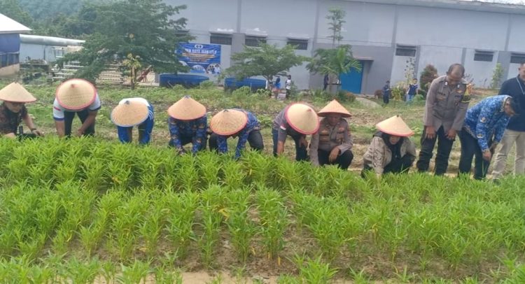 Satu Hati untuk Negeri, Polda Jambi Tanamkan Nilai Kebangsaan di SMAN 4 Kota Jambi