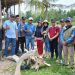 Heboh Penemuan Tulang Belulang diduga Mamalia Laut Ratusan Tahun, di Desa Muara Seberang Tungkal