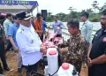 Wali Kota Maulana Serahkan Alat dan Mesin Pertanian Kepada Kelompok Tani