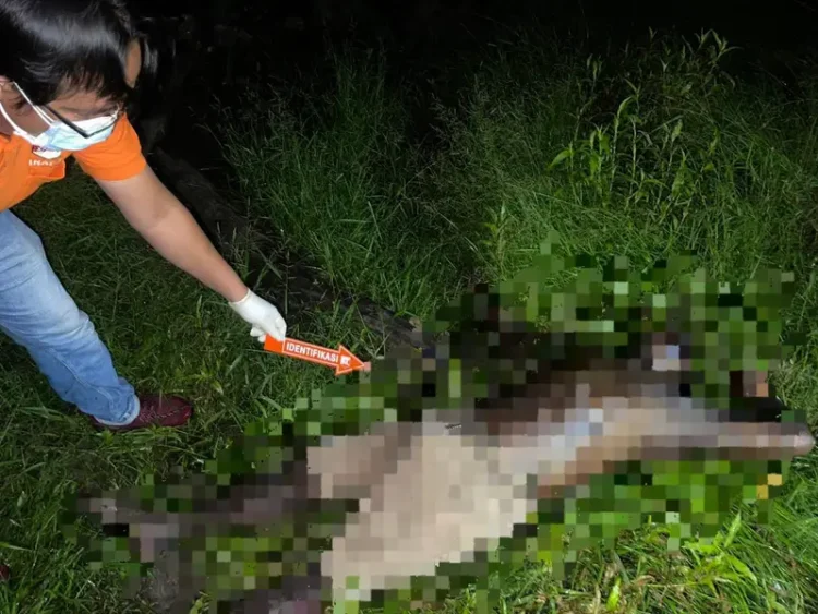 Sat Reskrim Bersama Unit Identifikasi Polres Merangin Lakukan Olah TKP Penemuan Mayat