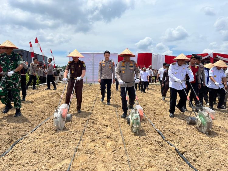 Kapolda Jambi Pimpin Penanaman Jagung Serentak Kuartal IV Tahun 2025 di Lahan Penanaman Jagung PT. Brahma Bina Bakti KM. 53 Desa Suko Awin Jaya