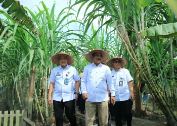 Bupati Tanjabbar Apresiasi Program Ketahanan Pangan di Lapas Kuala Tungkal