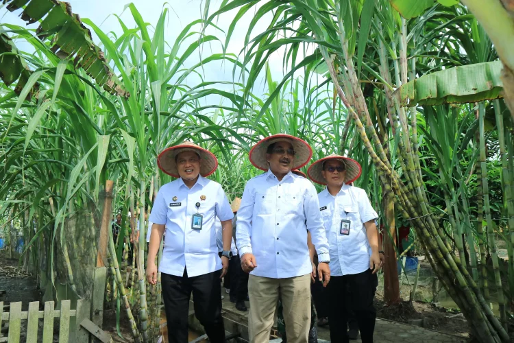 Bupati Tanjabbar Apresiasi Program Ketahanan Pangan di Lapas Kuala Tungkal