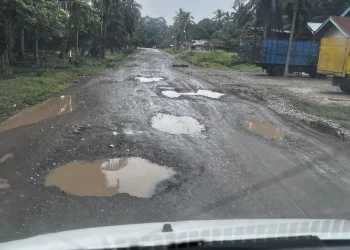 Warga Teluk Lancang Minta Gubernur Jambi Perbaiki Jalan Rusak di Perbatasan Jambi–Sumbar