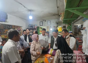 Satgas Cek Harga Beras di Jambi, Temukan Selisih Tipis di Sarolangun