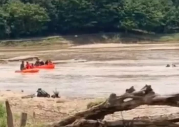 Tambang Emas Ilegal di Tebo Telan Korban Jiwa, Penambang Tewas Tertimbun Longsor