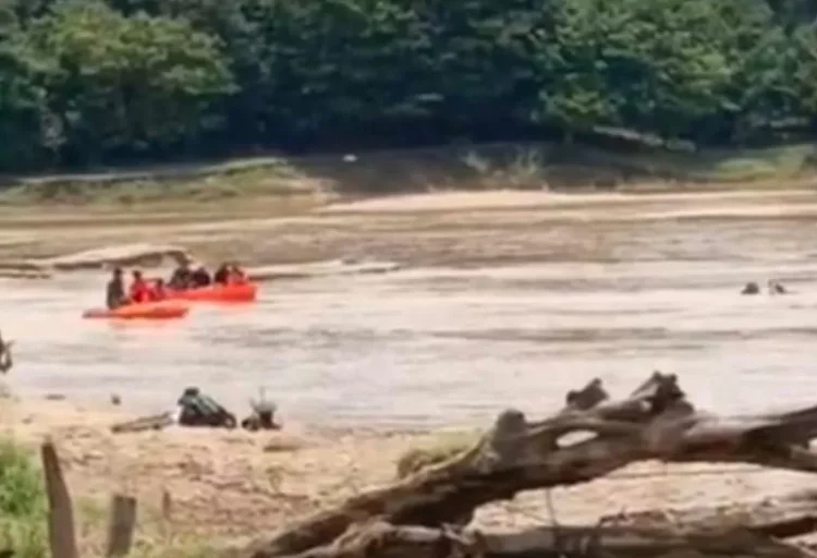 Tambang Emas Ilegal di Tebo Telan Korban Jiwa, Penambang Tewas Tertimbun Longsor