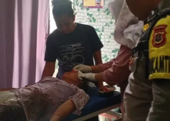 Petani di Muaro Jambi Terluka Parah Diserang Beruang saat Sadap Karet
