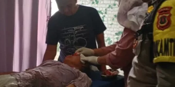 Petani di Muaro Jambi Terluka Parah Diserang Beruang saat Sadap Karet