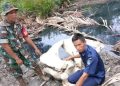 Hari Ini, Pemkot Jambi Gelar Carnaval Angso Duo 2025