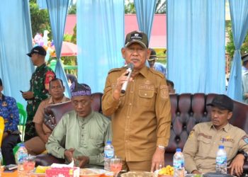 Pawai Budaya Meriahkan HUT Ke-17 Desa Pulau Tujuh. Wabup Khafidh Jabarkan Fokus Pembangunan