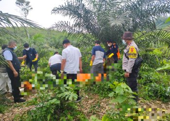 Geger Penemuan Mayat di Kebun Sawit, Polres Merangin Lakukan Olah TKP dan Selidiki Penyebab Kematian