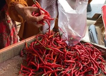 Harga Cabai Merah di Pasar Angso Duo Naik