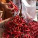 Harga Cabai Merah di Pasar Angso Duo Naik