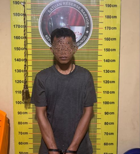 Satresnarkoba Polres Bungo Tangkap Pengedar Sabu di Tanah Sepenggal Lintas