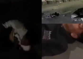 3 Anggota Geng Motor Alami Kecelakaan Saat Melarikan Diri Usai Tawuran