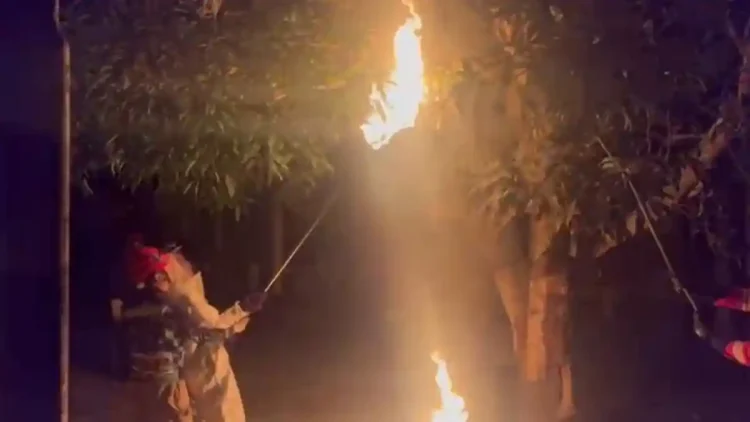 Damkartan Batang Hari Evakuasi Tawon Madu di Dekat SD 13 Rengas Condong