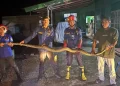 Damkartan Muaro Jambi Evakuasi Ular Sanca Sepanjang 4 Meter di Rumah Warga
