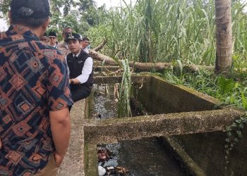 Wawako Diza Tinjau Kawasan Rawan Banjir di Talang Banjar, Turunkan Alat Berat untuk Normalisasi Drainase