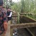 Wawako Diza Tinjau Kawasan Rawan Banjir di Talang Banjar, Turunkan Alat Berat untuk Normalisasi Drainase