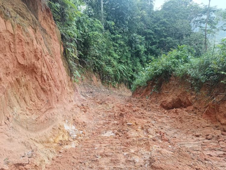 JUT Desa Telentam Rusak Parah Oleh Pelaku PETI Keluar Masuk Pelepat-Telentam, Pemuda Akan Tindak Tegas.!