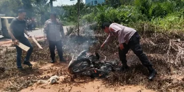 Pencuri Sawit Ditangkap Warga di Pijoan, Motor dan Ambung Dibakar