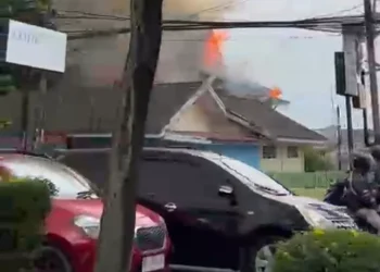 Eks Kantor Dinas Pertanian Tanaman Pangan Provinsi Jambi Terbakar