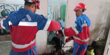 Anjing Liar Agresif Masuk Rumah Warga, Minta Bantuan Damkar untuk Evakuasi