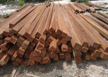 Polsek Jelutung Ungkap Kasus Pencurian 60 Batang Kayu Bulian, 1 Pelaku Diamankan, 5 Orang DPO