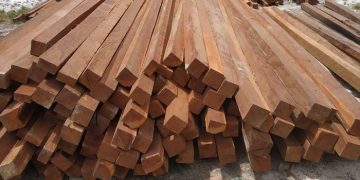 Polsek Jelutung Ungkap Kasus Pencurian 60 Batang Kayu Bulian, 1 Pelaku Diamankan, 5 Orang DPO