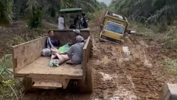 Heboh Jenazah di Jambi Diangkut Pakai Traktor Sawit gegara Jalan Rusak
