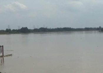 Debit Sungai Batanghari Naik, BBS Imbau Warga Waspada Banjir