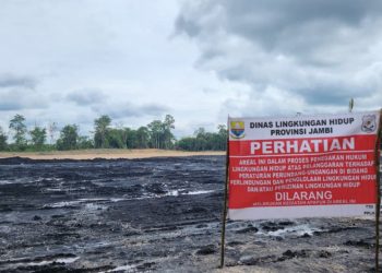 DLH Provinsi Jambi Tutup Stockpile Batu Bara di Desa Tenam