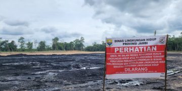 DLH Provinsi Jambi Tutup Stockpile Batu Bara di Desa Tenam