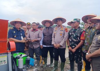 Bupati BBS dan Kapolres Muaro Jambi Gelar Panen Perdana Jagung di Desa Sakean
