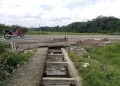 Irigasi Rusak Gegara Proyek Jalan Bandara, Ratusan Hektare Sawah di Tanco Terancam Gagal Panen