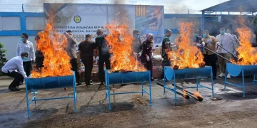 Bea Cukai Jambi Musnahkan 3,25 Juta Batang Rokok Ilegal, Selamatkan Potensi Kerugian Negara Rp2,47 Miliar