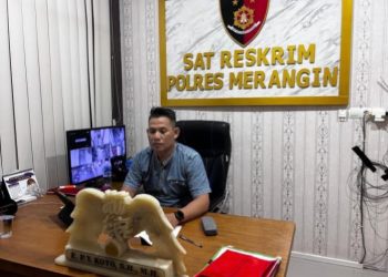Kasat Reskrim Polres Merangin Angkat Bicara Soal Pemberitaan Alat Berat PETI
