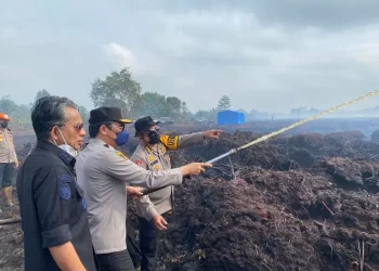 Pemilik Lahan jadi Tersangka Karhutla di Desa Gambut Jaya Muaro Jambi, Polisi Sebut Lahan Disiapkan untuk Tanam Sawit