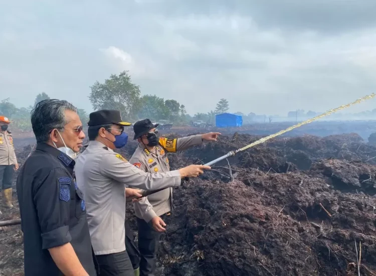 Pemilik Lahan jadi Tersangka Karhutla di Desa Gambut Jaya Muaro Jambi, Polisi Sebut Lahan Disiapkan untuk Tanam Sawit