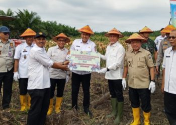Ditreskrimsus Polda Jambi Tetapkan Pemilik Lahan Sebagai Tersangka Tindak Pidana Karhutla di Desa Gambut Jaya
