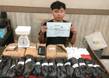Remaja di Jambi Ditangkap Satresnarkoba, Polisi Amankan Ganja Lebih dari 4 Kilogram