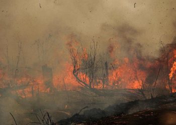 Ditreskrimsus Polda Jambi Tetapkan Pemilik Lahan Sebagai Tersangka Tindak Pidana Karhutla di Desa Gambut Jaya