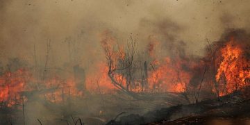 Ditreskrimsus Polda Jambi Tetapkan Pemilik Lahan Sebagai Tersangka Tindak Pidana Karhutla di Desa Gambut Jaya