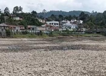 Air Danau Kerinci Surut Drastis, Petani dan Nelayan Terdampak