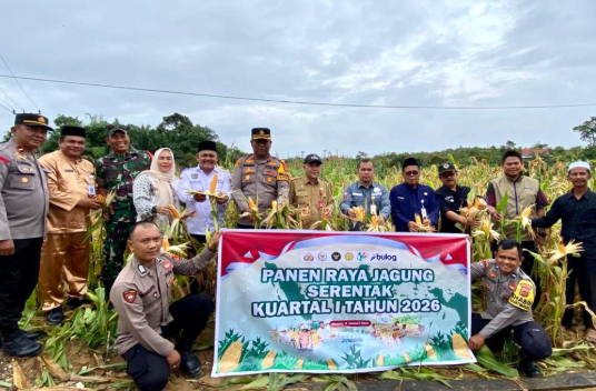 Polres Sarolangun Gelar Panen Raya Jagung Dukung Swasembada Pangan 2026