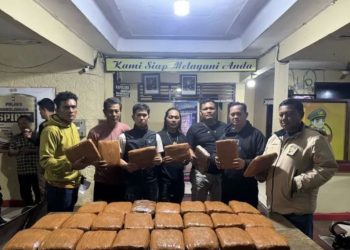 Dikirim dengan Bus Tujuan Lampung, Penyelundupan 42 Kg Ganja Berakhir di Sarolangun