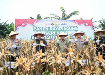 Polsek Mestong Laksanakan Pengamanan Kunjungan Kerja Wamen PUPR RI di Exit Tol Muaro Sebapo