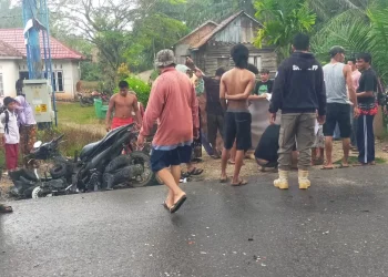 Tabrakan Maut di Jalan Lintas Jambi–Sengeti, Pengendara Motor Tewas Dihantam Truk Sawit