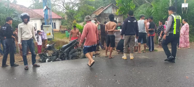 Tabrakan Maut di Jalan Lintas Jambi–Sengeti, Pengendara Motor Tewas Dihantam Truk Sawit